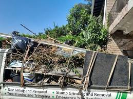 Best Scrap Metal Removal  in Mayer, MN