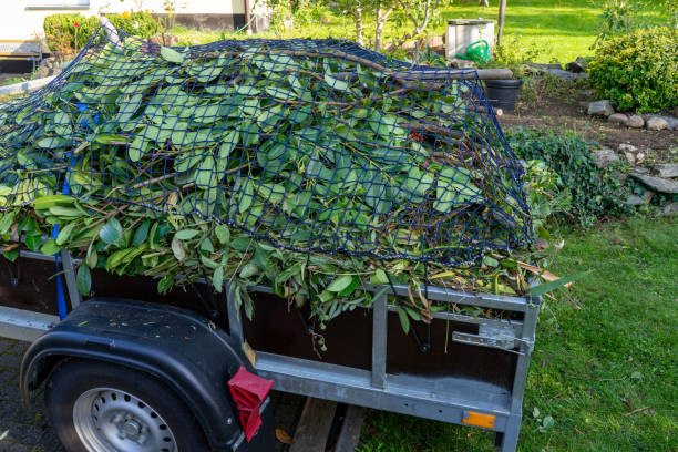 Best Furniture Removal  in Mayer, MN